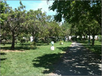 Le Mouliat Aquitania - Moncrabeau visuel 2/10