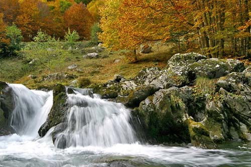 Le Moulin Midi-Pirenei - Martres-Tolosane visuel 8/10 Le Moulin Midi-Pirenei - Martres-Tolosane visuel 8/10