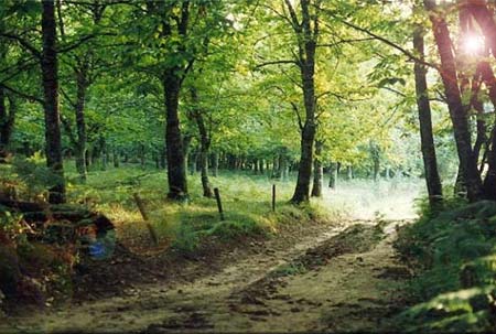 Le Moulin de la Prade Aquitania - Prats-du-Périgord visuel 2/7
