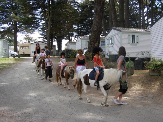 Le Moulin de l'Eclis Paesi della Loira - Assérac visuel 9/11