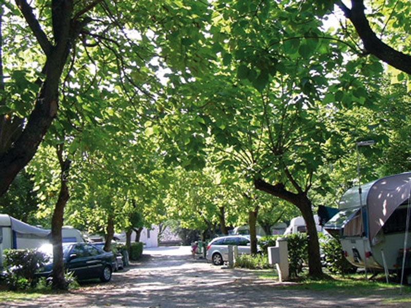 Le Moulin de Sainte Anne Linguadoca-Rossiglione - Villegly visuel 3/7