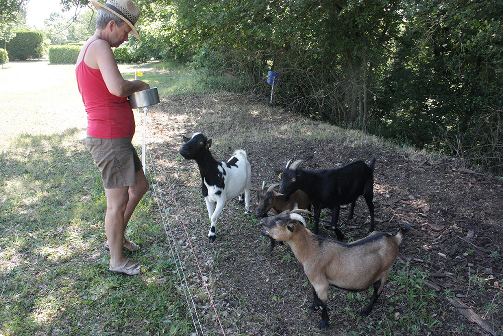 le Néri Midi-Pirenei - Mauroux visuel 11/11 le Néri Midi-Pirenei - Mauroux visuel 11/11