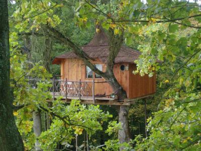 Le Nid dans l'Arbre Piccardia - Pierrefonds visuel 5/10 Le Nid dans l'Arbre Piccardia - Pierrefonds visuel 5/10