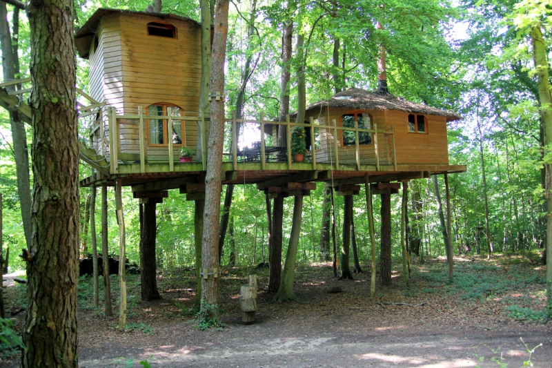 Le Nid dans l'Arbre Piccardia - Pierrefonds visuel 8/10 Le Nid dans l'Arbre Piccardia - Pierrefonds visuel 8/10