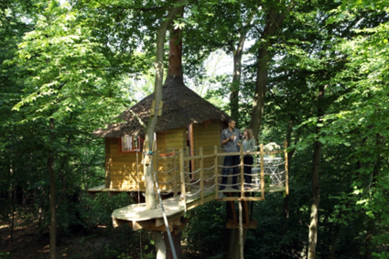 Le Nid dans l'Arbre Piccardia - Pierrefonds visuel 9/10 Le Nid dans l'Arbre Piccardia - Pierrefonds visuel 9/10