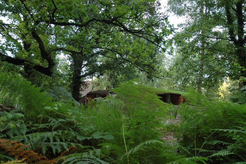 Le Nid dans les Bruyères Piccardia - Fère-en-Tardenois visuel 2/10 Le Nid dans les Bruyères Piccardia - Fère-en-Tardenois visuel 2/10