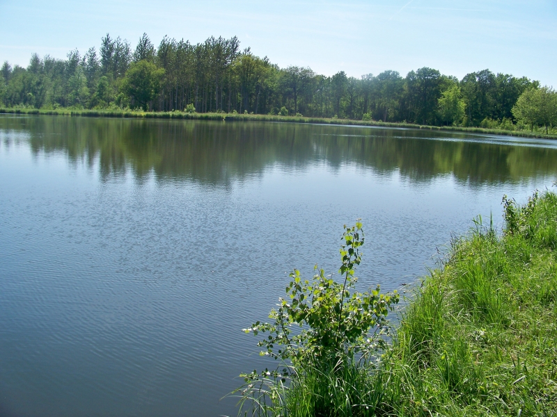 Le Nid dans les Bruyères Piccardia - Fère-en-Tardenois visuel 4/10 Le Nid dans les Bruyères Piccardia - Fère-en-Tardenois visuel 4/10