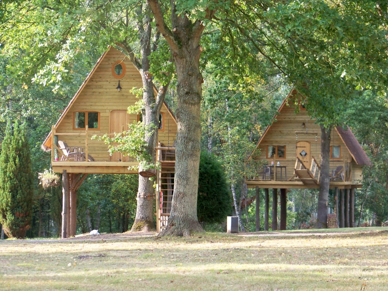 Le Nid dans les Bruyères Piccardia - Fère-en-Tardenois visuel 6/10 Le Nid dans les Bruyères Piccardia - Fère-en-Tardenois visuel 6/10