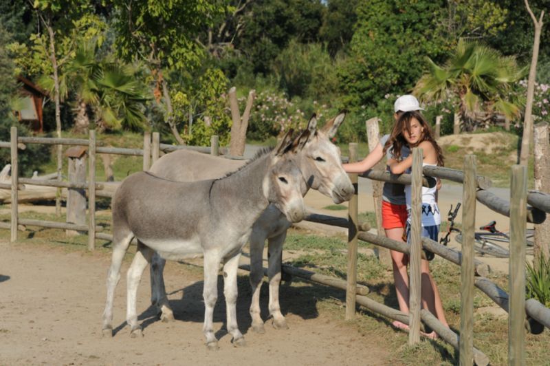 Le Palais de la Mer Linguadoca-Rossiglione - Sainte Marie la Mer visuel 5/6