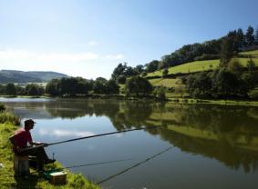 Le Paluet Bourgogne - Matour visuel 1/9