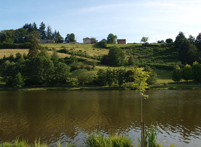 Le Paluet Bourgogne - Matour visuel 3/9