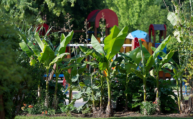 Le Paradis Aquitania - Saint-Léon-sur-Vézère visuel 2/9 Le Paradis Aquitania - Saint-Léon-sur-Vézère visuel 2/9