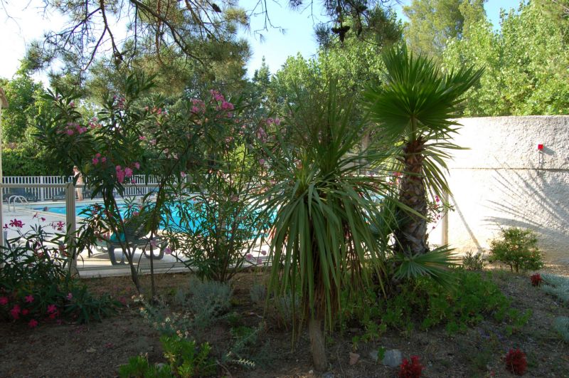 Le Parc Linguadoca-Rossiglione - Lattes visuel 11/11