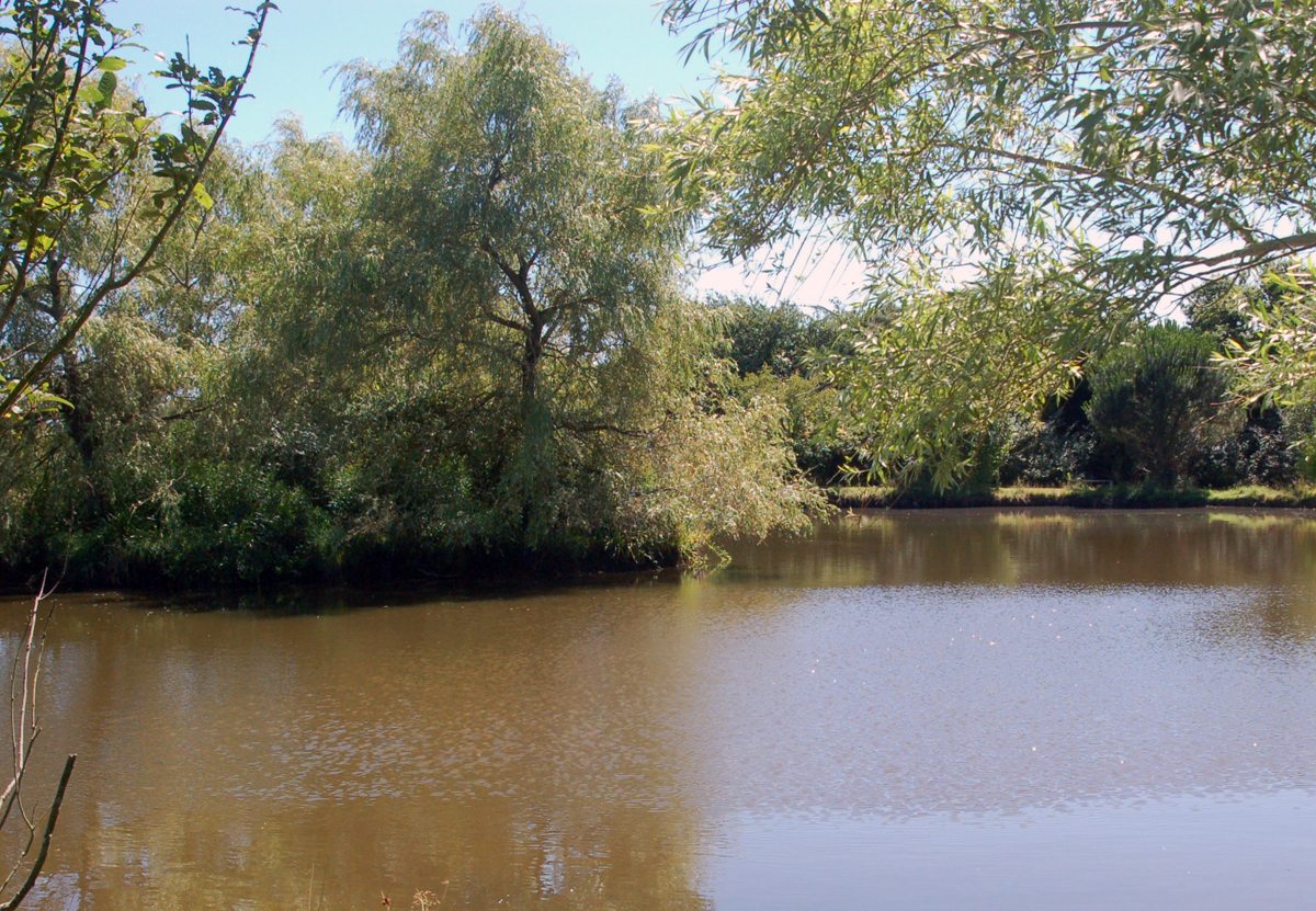 Le Parc Sainte-Brigitte Paesi della Loira - La Turballe visuel 6/10