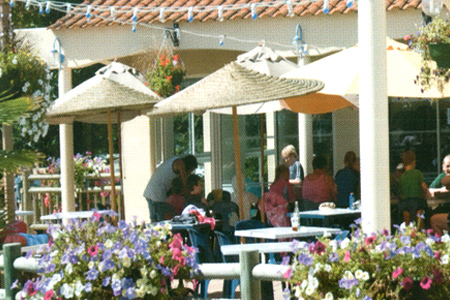 Le Pas Opton Paesi della Loira - Le Fenouiller visuel 1/1 Le Pas Opton Paesi della Loira - Le Fenouiller visuel 1/1