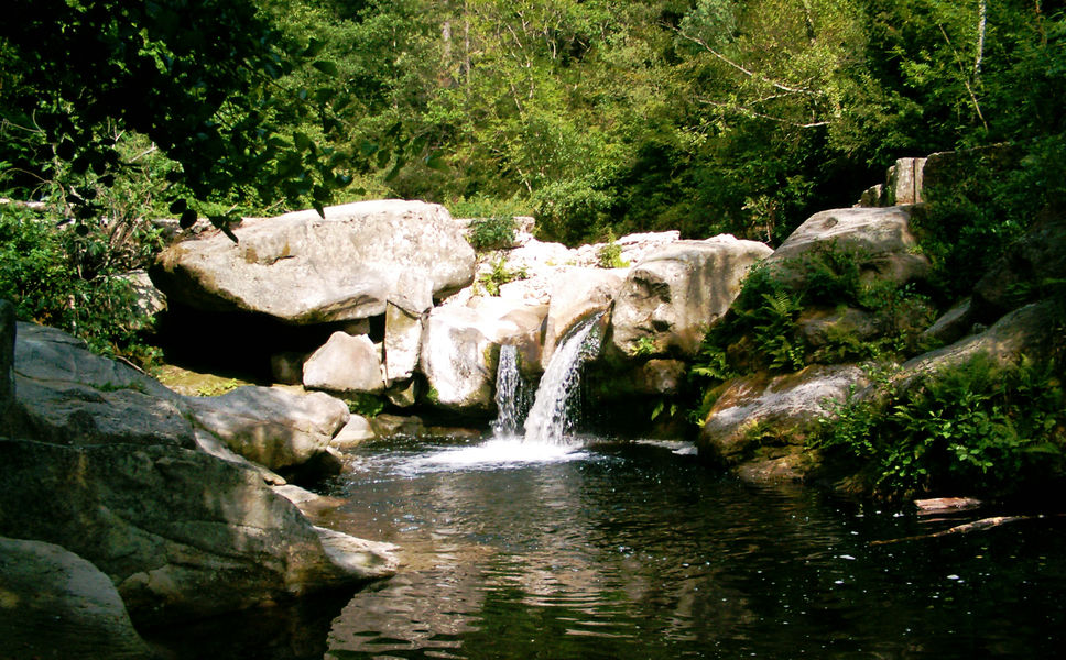 Le Pastural Rodano-Alpi - Ucel visuel 10/11