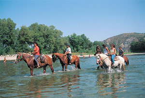 Le Pequelet Rodano-Alpi - Salavas visuel 2/2 Le Pequelet Rodano-Alpi - Salavas visuel 2/2