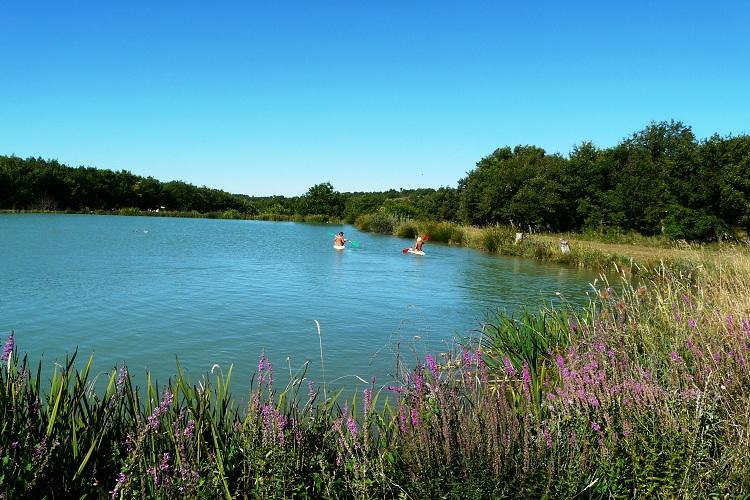Le Petit Arlane Domaine Naturiste - Provenza-Alpi-Costa Azzurra - Valensole visuel 9/10