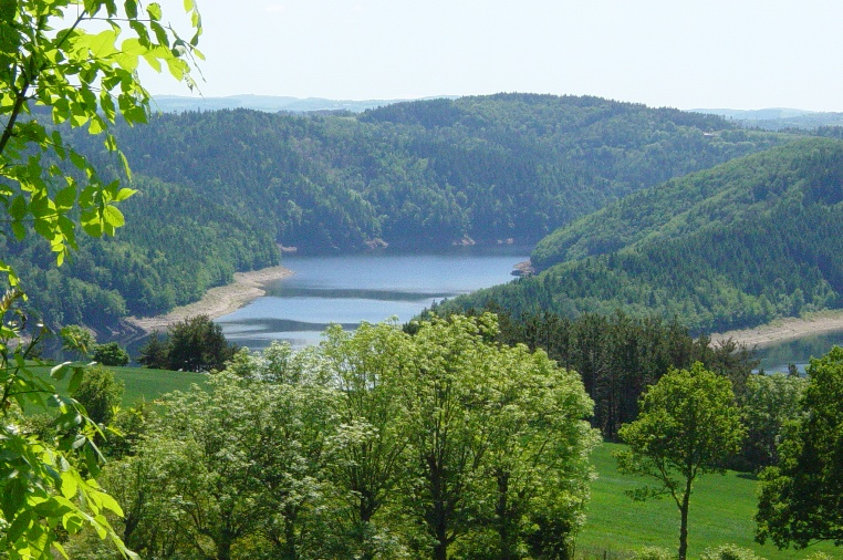Le Petit Bois Alvernia - Ruynes en Margeride visuel 2/10