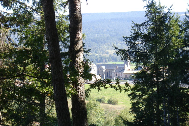 Le Petit Bois Alvernia - Ruynes en Margeride visuel 4/10
