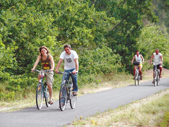 Le Petit Bois Alvernia - Ruynes en Margeride visuel 7/10