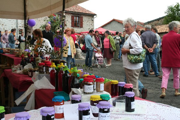 Le Petit Bois Alvernia - Ruynes en Margeride visuel 10/10