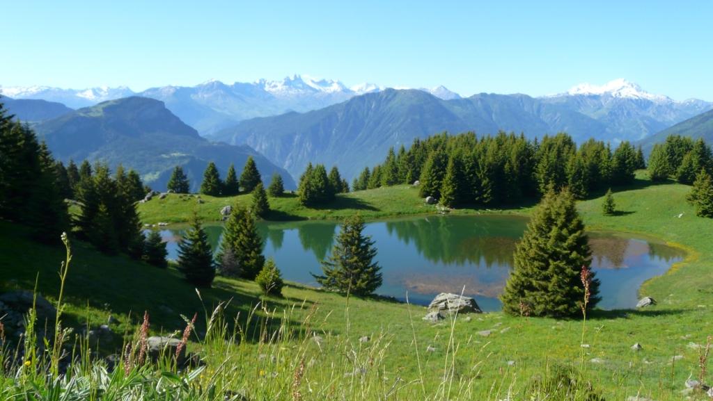 Le Petit Nice Rodano-Alpi - Saint-Martin-sur-la-Chambre visuel 1/1