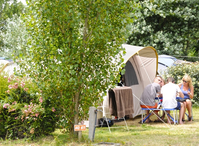 Le Petit Paris Paesi della Loira - Château-d'Olonne visuel 20/25