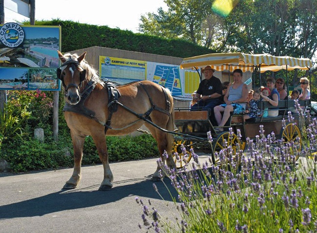 Le Petit Paris Paesi della Loira - Château-d'Olonne visuel 24/25