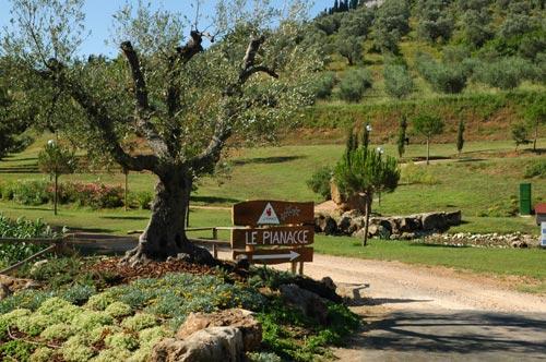 Le Pianacce Toscana - Castagneto Carducci visuel 3/13