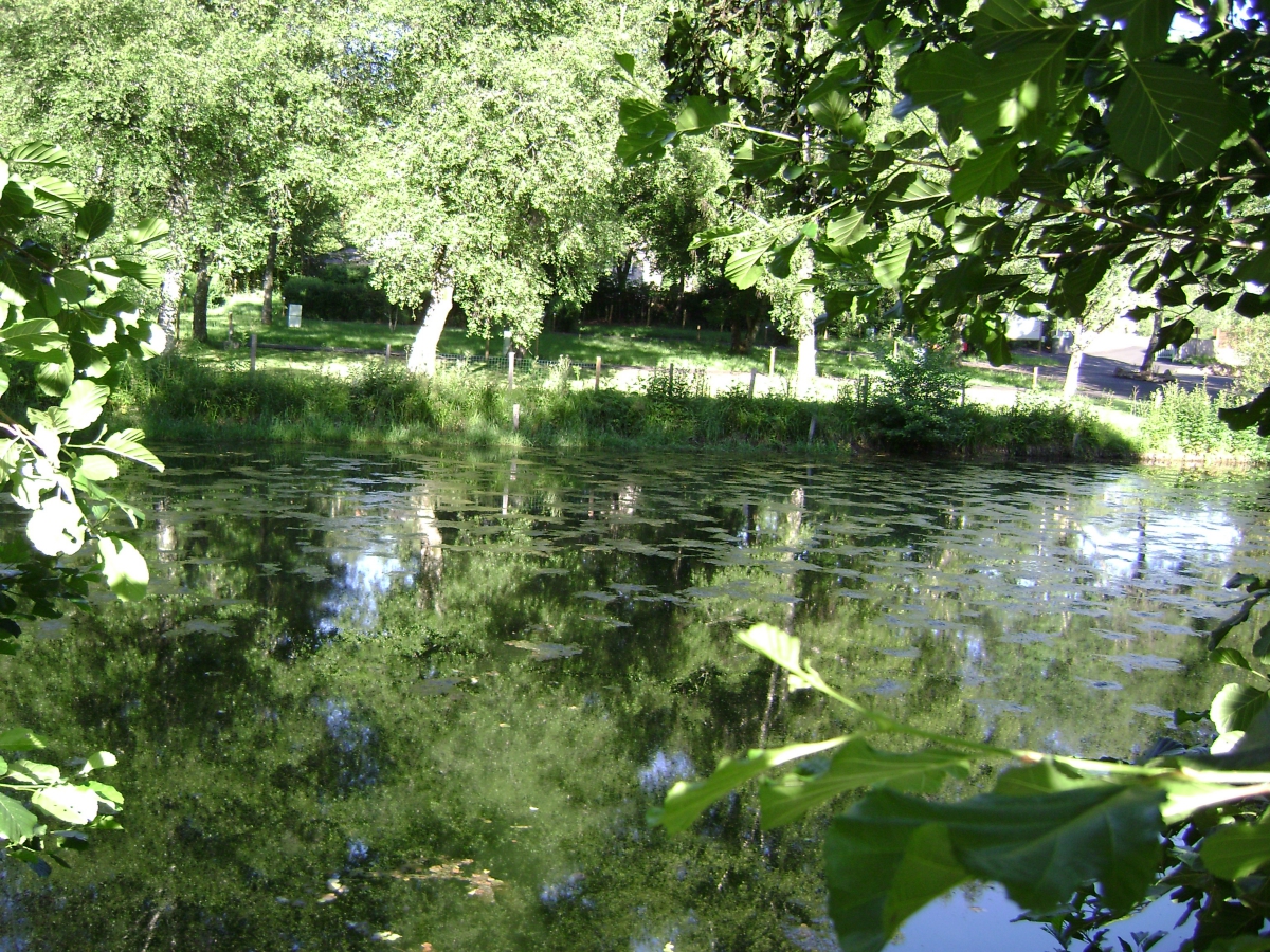 Le Pont de la Dordogne Alvernia - Saint-Sauves-d'Auvergne visuel 4/10