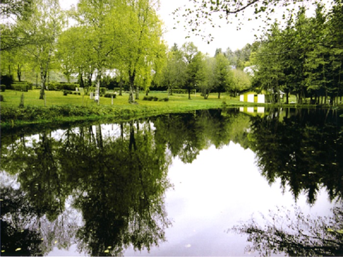 Le Pont de la Dordogne Alvernia - Saint-Sauves-d'Auvergne visuel 5/10