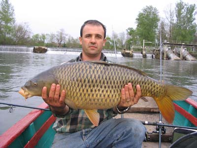 Le Pressoir Aquitania - Petit-Palais-et-Cornemps visuel 6/11 Le Pressoir Aquitania - Petit-Palais-et-Cornemps visuel 6/11