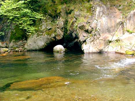 le P'tit Bonheur Linguadoca-Rossiglione - Escaro visuel 5/5