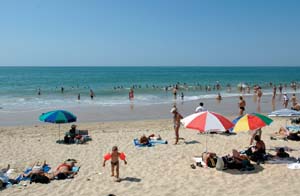 Le Puits Rochais Paesi della Loira - Château-d'Olonne visuel 4/10
