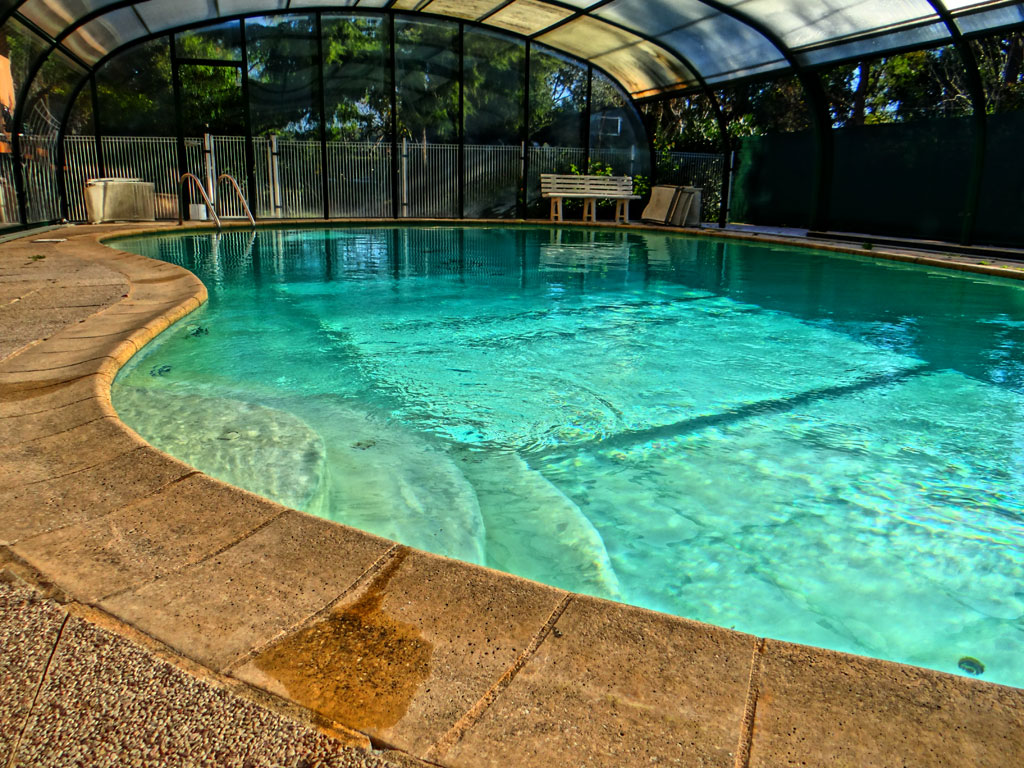 Le Ranch Provenza-Alpi-Costa Azzurra - Le Cannet visuel 6/10