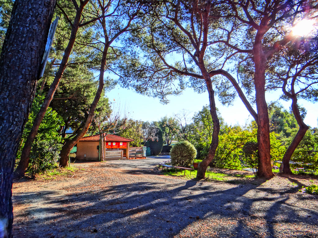 Le Ranch Provenza-Alpi-Costa Azzurra - Le Cannet visuel 9/10