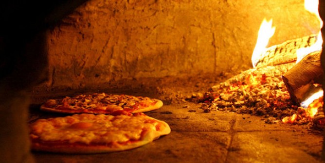 Le Ranch des Volcans Alvernia - Châtel-Guyon visuel 7/9