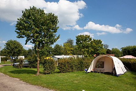 Le Renom Rodano-Alpi - Vonnas visuel 10/10