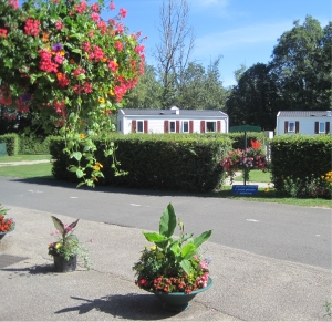 Le Renom Rodano-Alpi - Vonnas visuel 5/10