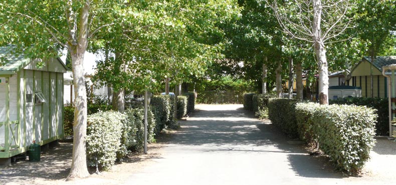 Le Rochelongue Linguadoca-Rossiglione - Agde visuel 5/13