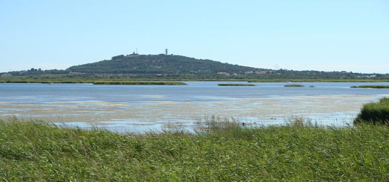 Le Rochelongue Linguadoca-Rossiglione - Agde visuel 13/13