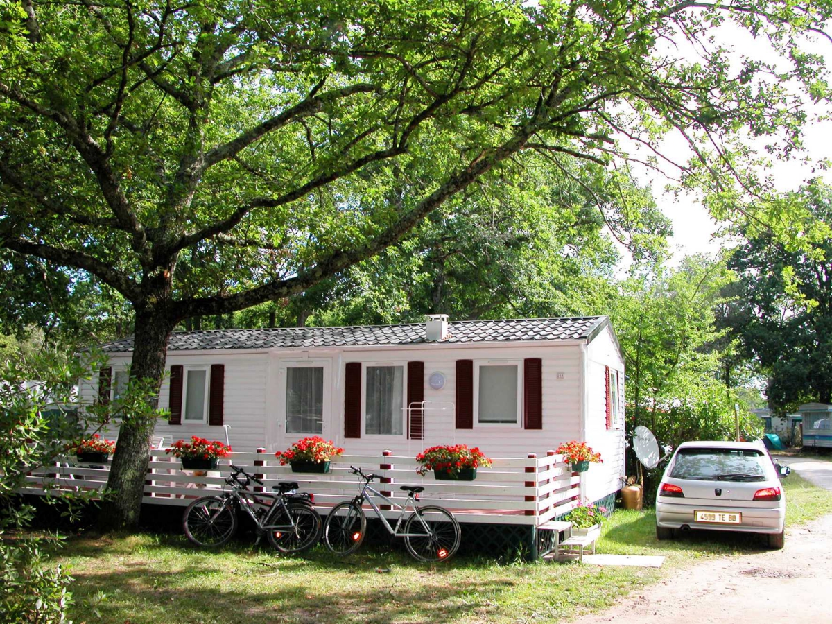 Le Roumingue Aquitania - Lanton visuel 7/10 Le Roumingue Aquitania - Lanton visuel 7/10