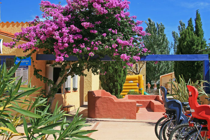 Le Roussillon Linguadoca-Rossiglione - Saint-Cyprien visuel 8/11