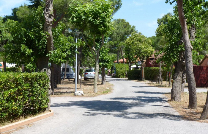 Le Roussillonnais Linguadoca-Rossiglione - Argelès-sur-Mer visuel 5/7 Le Roussillonnais Linguadoca-Rossiglione - Argelès-sur-Mer visuel 5/7