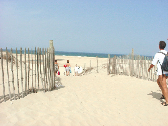 Le Saint Martin Aquitania - Moliets-et-Maa visuel 9/10