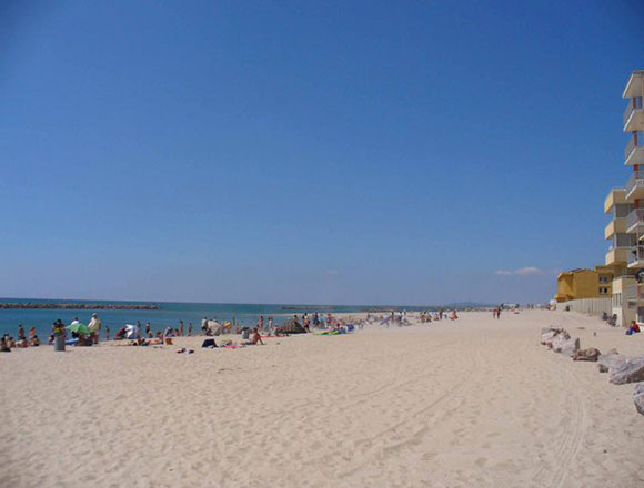 Le Saint Maurice Linguadoca-Rossiglione - Palavas-les-Flots visuel 11/11