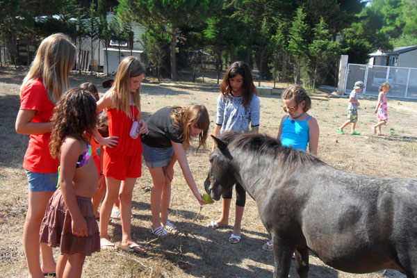 Le Sainte Marie Linguadoca-Rossiglione - Sainte Marie la Mer visuel 10/12