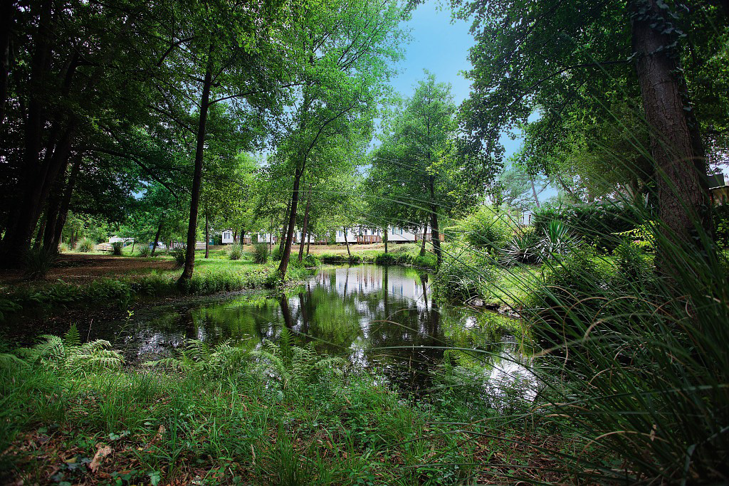Le Soleil des Landes Aquitania - Lit-et-Mixe visuel 9/16
