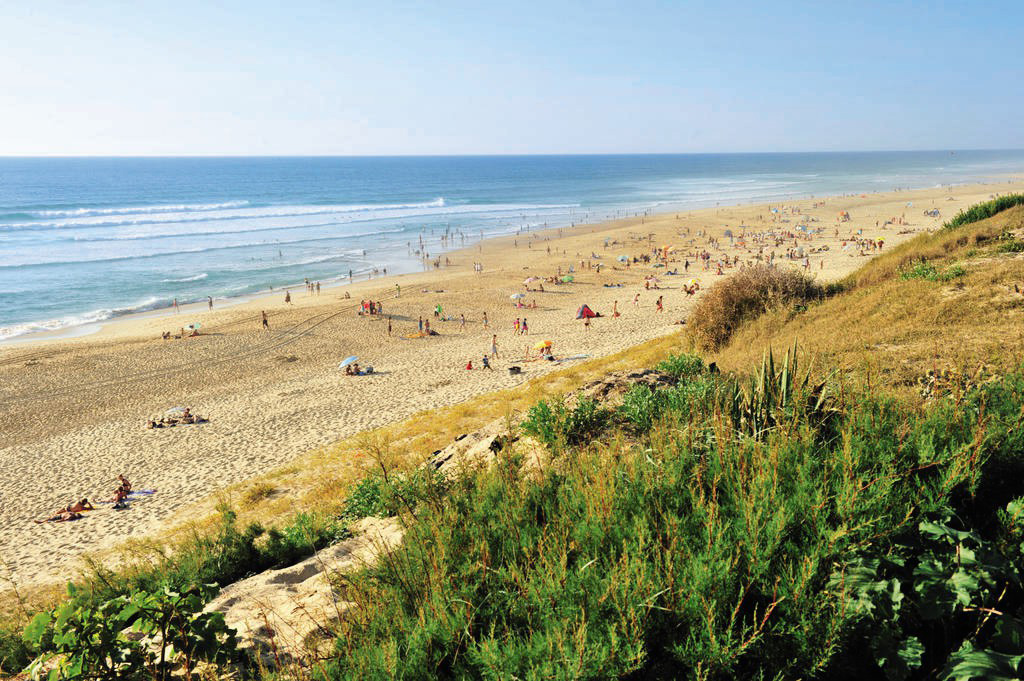 Le Soleil des Landes Aquitania - Lit-et-Mixe visuel 15/16